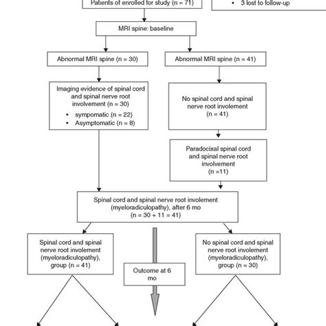 Flow Chart Of The Study Mbi Modified Barthel Index Tbm Tuberculous