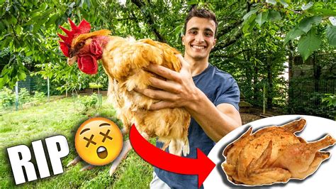 J AI ÉLEVÉ UN POULET POUR LE MANGER et c est trop bon YouTube