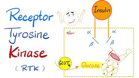 Rezeptor Tyrosinkinase