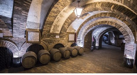 Maridajes únicos y bodegas premiadas para saborear la Ruta del Vino de ...