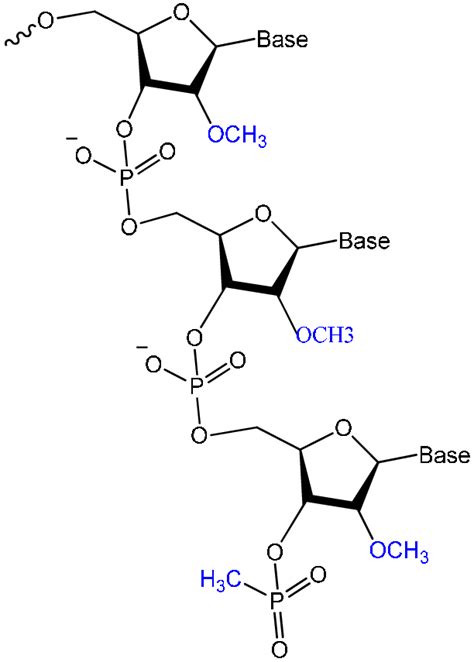 Oligonucleotide Structure