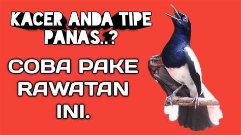 Rawatan Kacer Tipe Panas Youtube