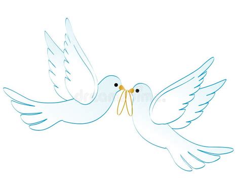 Two Wedding Doves Isolated On White Background Symbol Of Love And