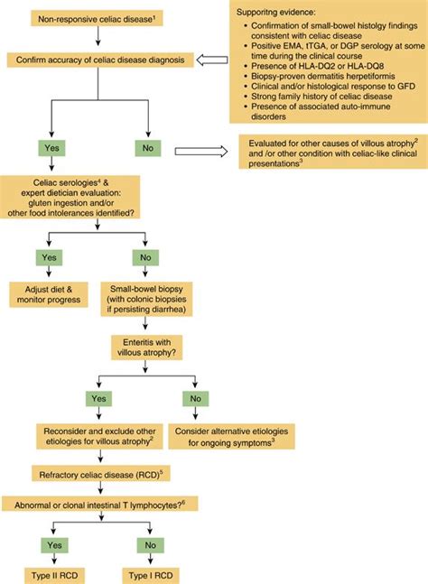 Diagnosis And Management Of Celiac Disease American College Of