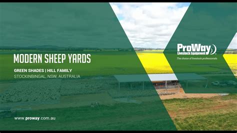 Proway Sheep Yards Green Shades Stockinbingal Nsw Youtube