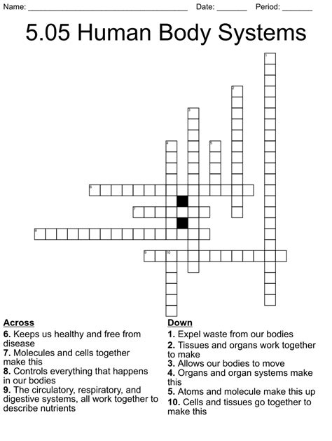 Human Body Systems Crossword Wordmint