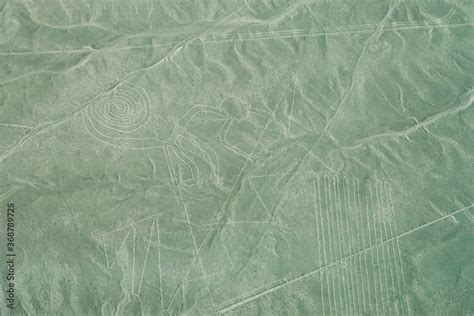 Nazca Lines - The Monkey Stock Photo | Adobe Stock