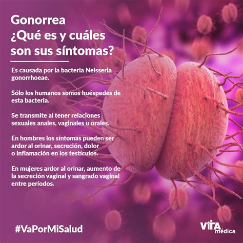 Cómo Prevenir La Gonorrea servedtips