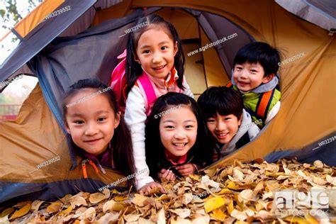 Elementary school students in the outdoor camping, Stock Photo, Picture ...