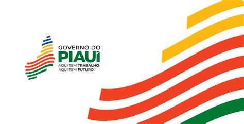 Passo A Passo Para Utilizar O Gov Pi Cidad O Servidor Pode Ver