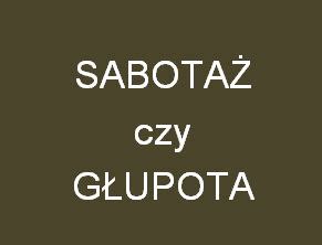 Ciekawe Trzy Fakty Wojskowe Wgospodarce Pl NaszGarbow Pl