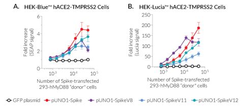 CoV 2 Pseudoparticle Infection Cell Fusion Assays InvivoGen