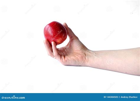 Apple In Hand Isolated On White Stock Image Image Of Freshness