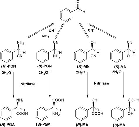 Figure 1 From Chemoenzymatic Enantioselective Synthesis Of