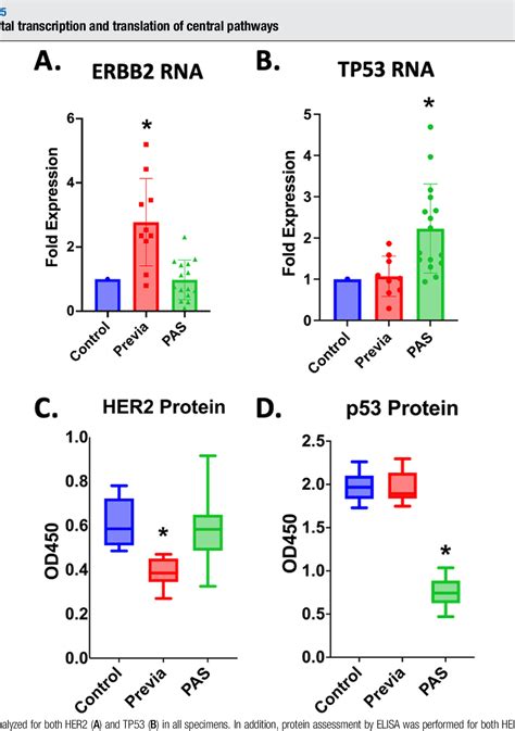 Figure 5 From Serum Exosomal MicroRNA Pathway Activation In Placenta