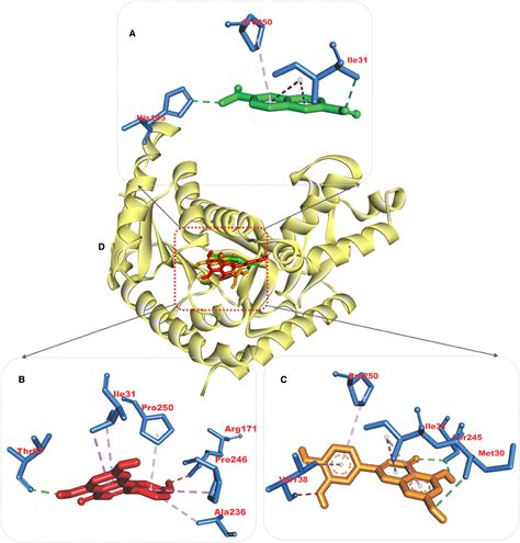 Evaluation Of Antimalarial Activity Of Ethanolic Extract Of Annona