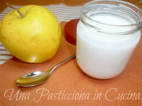 Yogurt Fatto In Casa Con Fermenti Ricetta