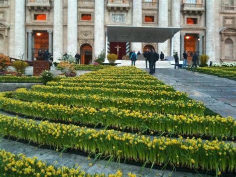 Rome Flowers From Holland For One Of The Most Famous Squares In