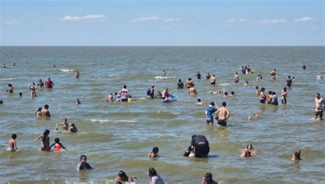 Contin An La Presencia De Cianobacterias En El R O De La Plata De Qu