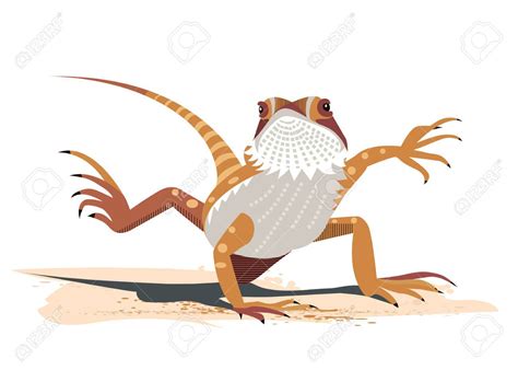 7+ Bearded Dragon Clipart - Preview : Bearded Dragon Cl | HDClipartAll