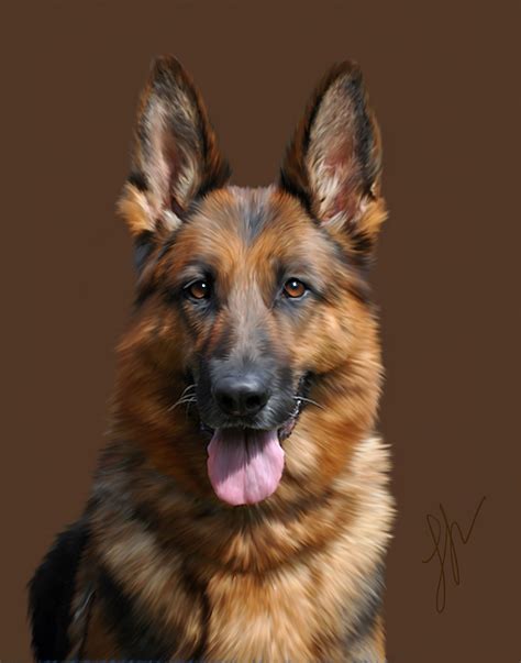 Portrait Of A German Shepherd German Shepherd Art Dogs And Puppies