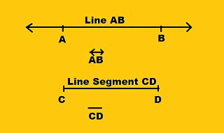 segment lesson  kids lesson studycom