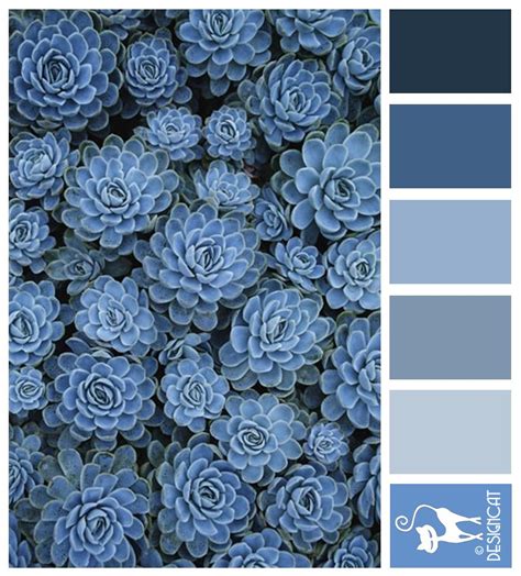 Blue sedum - Navy, Blue, Grey, Slate, Pastel - Designcat Colour ...