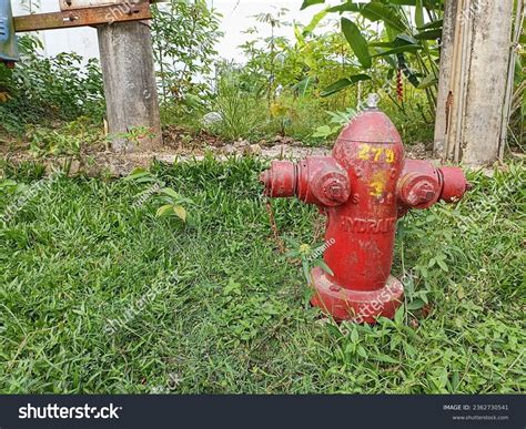 sentry fire safe images stock   objects vectors