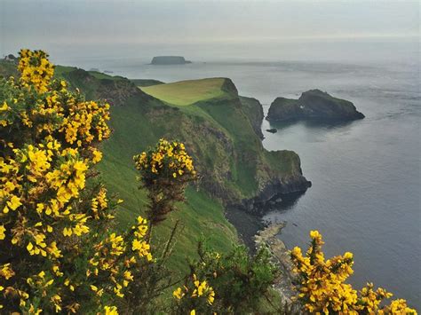 Qué ver en Irlanda del Norte (Consejos para una ruta) - El rincón de Sele