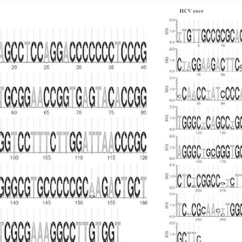 Weblogo diagrams of HCV sequences alignment. (a) Sequence logo of HCV ... 