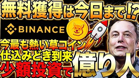 【トレンド1位で爆上げ間近⁉️】激アツ犬系コインここにあり ️仕込むなら今です ️【徹底解説】【バイナンス】【binance上場】【仮想通貨