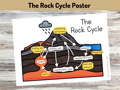 The Rock Cycle