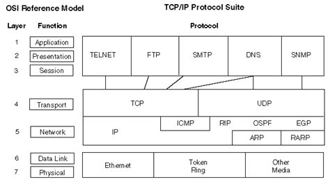 Novell Doc Nw 6 5 Sp8 Tcp Ip Administration Guide The Tcp Ip Suite