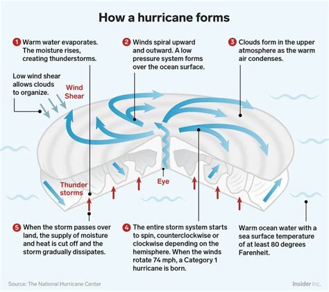 Hurricane Form And Processes Diagram Storms Storm Geography