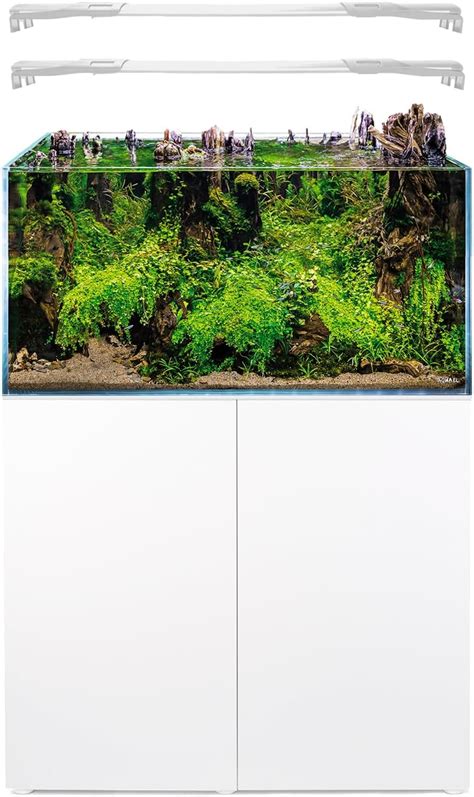 Aquael Ultrascape Rimless Glass Aquarium Kit India Ubuy