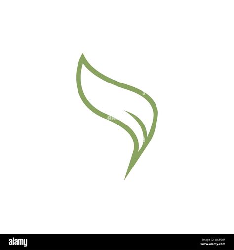 Leaf Graphic Design Template Vector Isolated Illustration Stock Vector