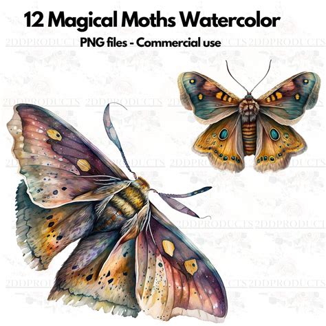 Magical Moths Watercolor Clipart Moths Fantasy Style Magical Clipart