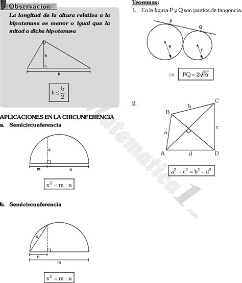 Relaciones Metricas Ejercicios Resueltos Pdf