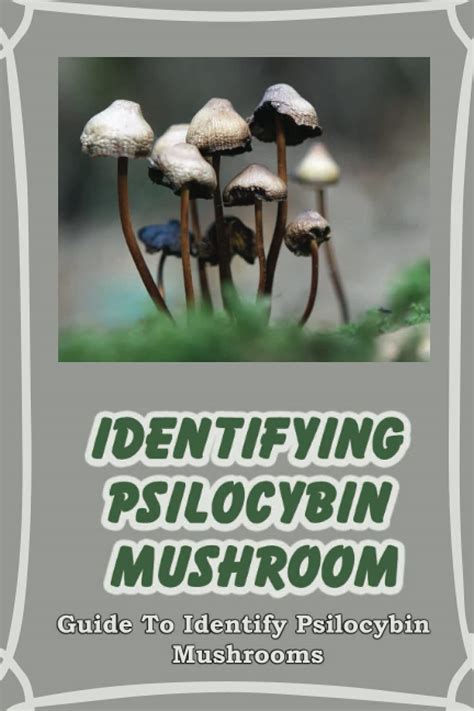 Buy Identifying Psilocybin Mushroom: Guide To Identify Psilocybin ...