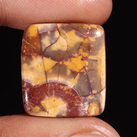 Natural Bird Eye Jasper Radiant Shape Cabochon Loose Gemstone Etsy