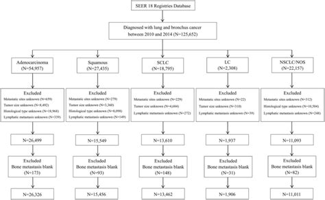 Lung Cancer Treatment Chart