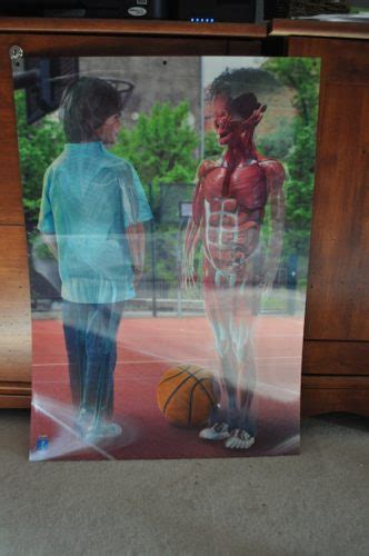 Inside Out Lenticular Human Body Poster Review Giveaway Ends 10 14