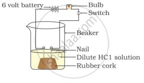 In Which Of The Following Setups Would The Bulb Glow Shaalaa