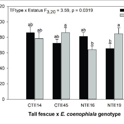 Interactive Effects Of Tall Fescue Symbiotic Genotype And Endophyte