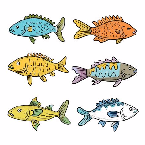 Premium Vector Handdrawn Colorful Fish Illustrations Isolated White