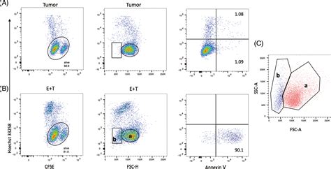 Improvements In Flow Cytometry‐based Cytotoxicity Assay Wu 2021