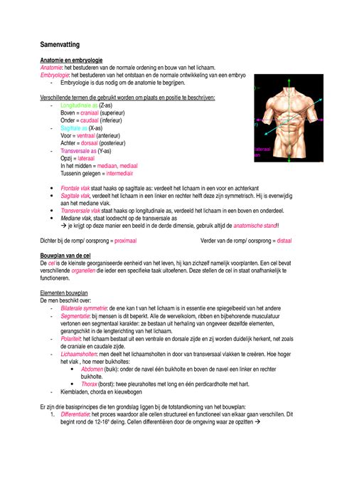 Samenvatting Embryologie Het Bestuderen Van Het Ontstaan En De