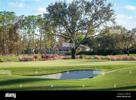 Sand Trap And Green On The Golf Course At Quail Creek Country Club