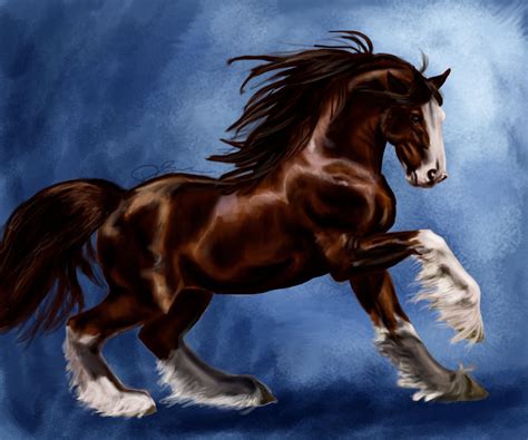 Clydesdale by Fnogis on DeviantArt