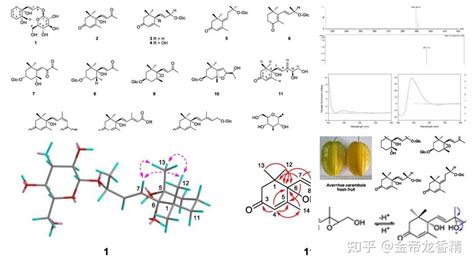 香精与香料171—杨桃 知乎